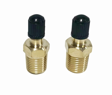 De Klep van messingsschrader met 1/4“ Mannelijke NPT 1/4“ NPT Tankklep