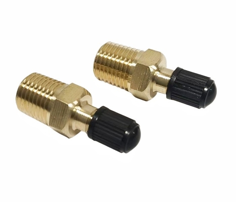 De Klep van messingsschrader met 1/4“ Mannelijke NPT 1/4“ NPT Tankklep